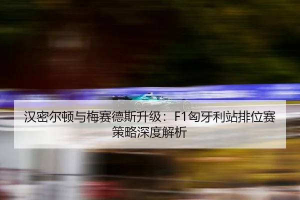 han-mi-er-dun-yu-mei-sai-de-si-sheng-ji-xiong-ya-li-zhan-pai-wei-sai-ce-lve-shen-du-jie-xi-3-458.jpg