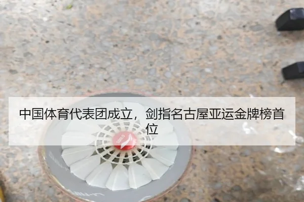 中国体育代表团成立，剑指名古屋亚运金牌榜首位